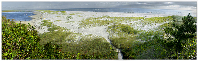 Nauset Beach by Roy DiTosti